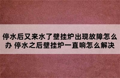 停水后又来水了壁挂炉出现故障怎么办 停水之后壁挂炉一直响怎么解决